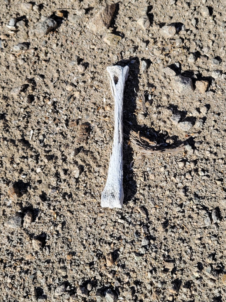 20211127_125156.jpg