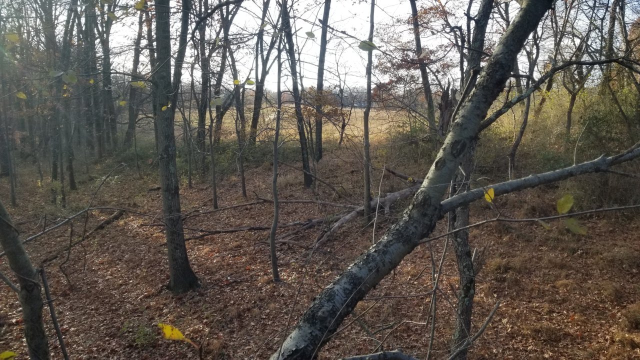 20211127_145444.jpg