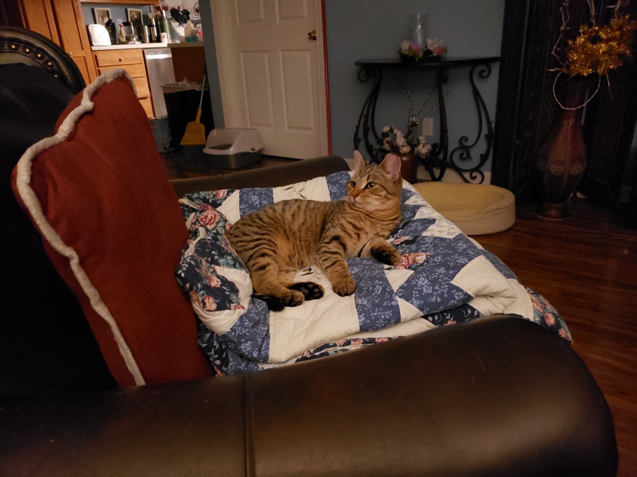 20211127_213936.jpg