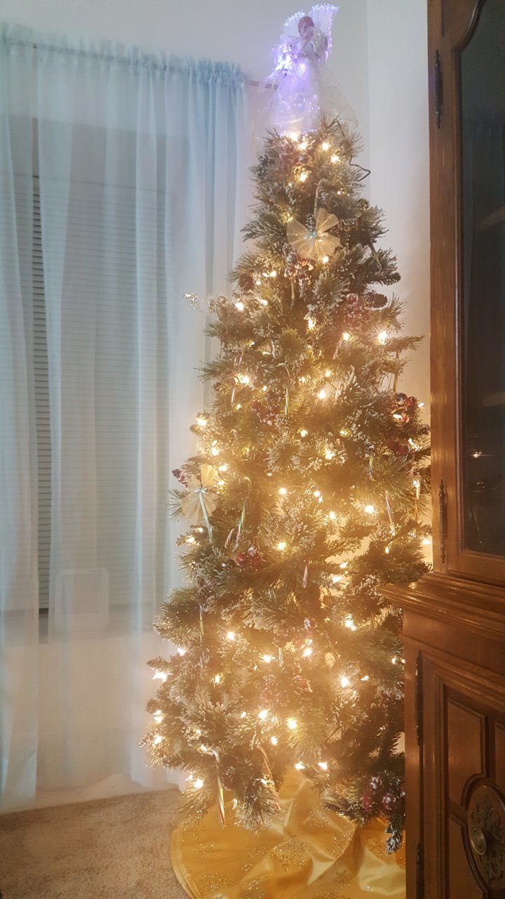 20211128_171512.jpg