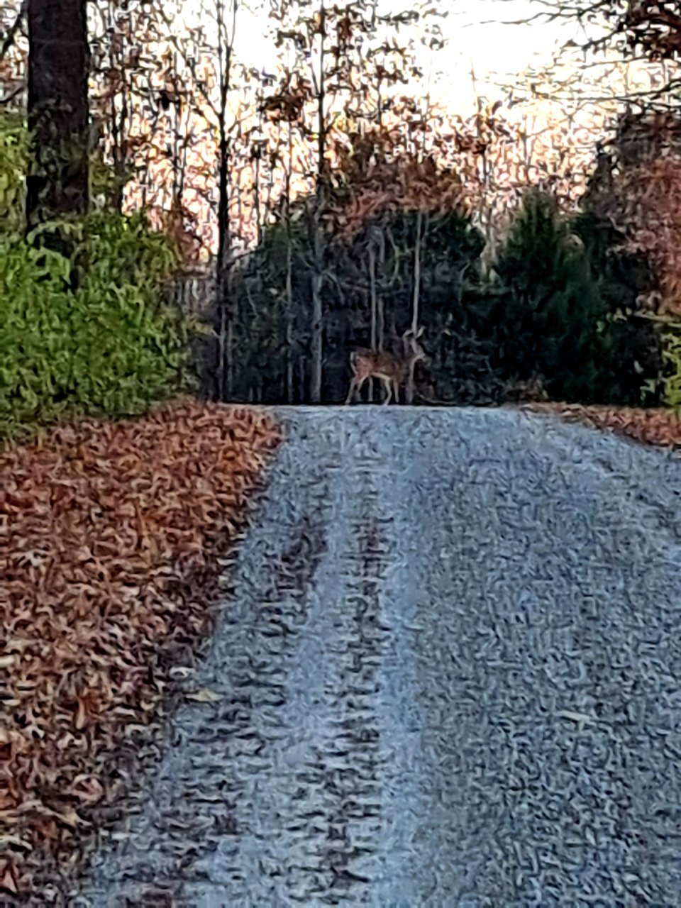 20211129_065745.jpg