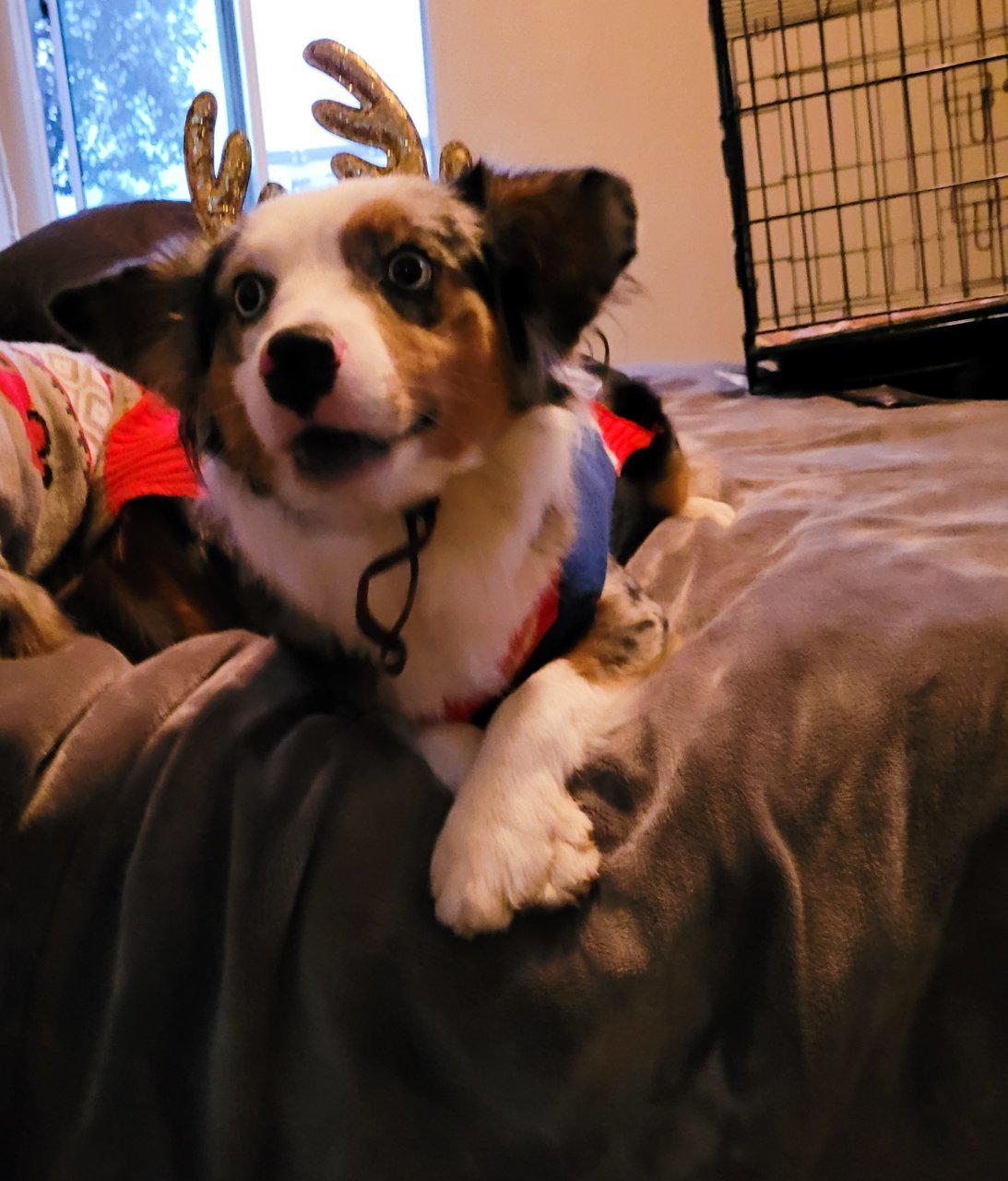 20211203_165927.jpg