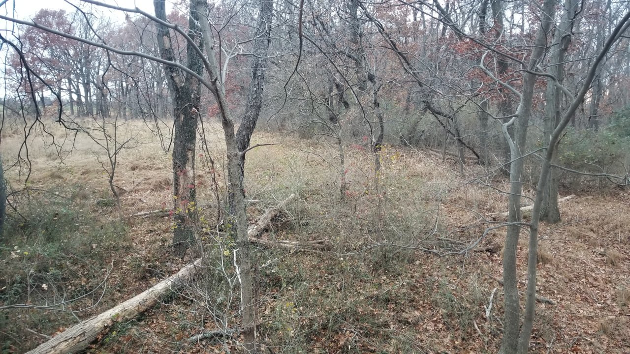20211204_072857.jpg