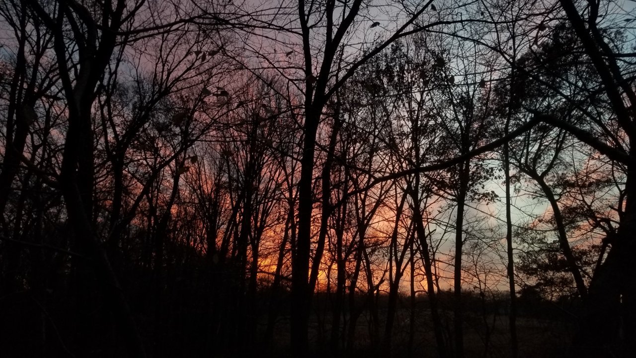 20211204_164530.jpg