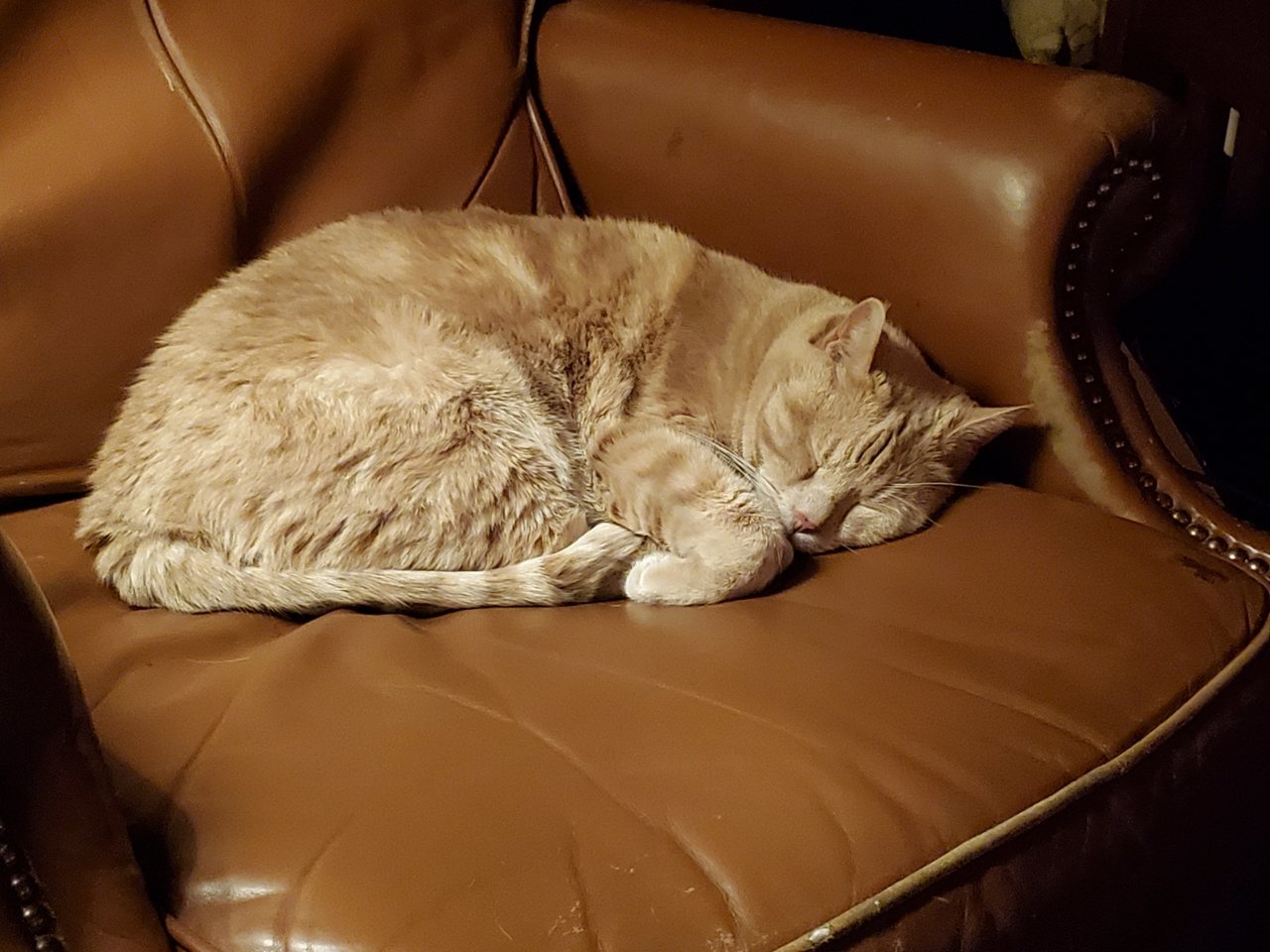 20211205_192156.jpg