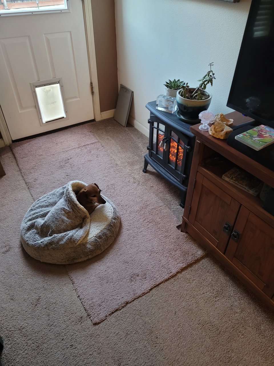 20211210_155113.jpg