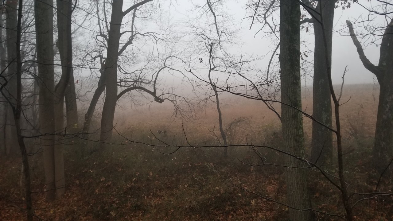 20211211_071421.jpg