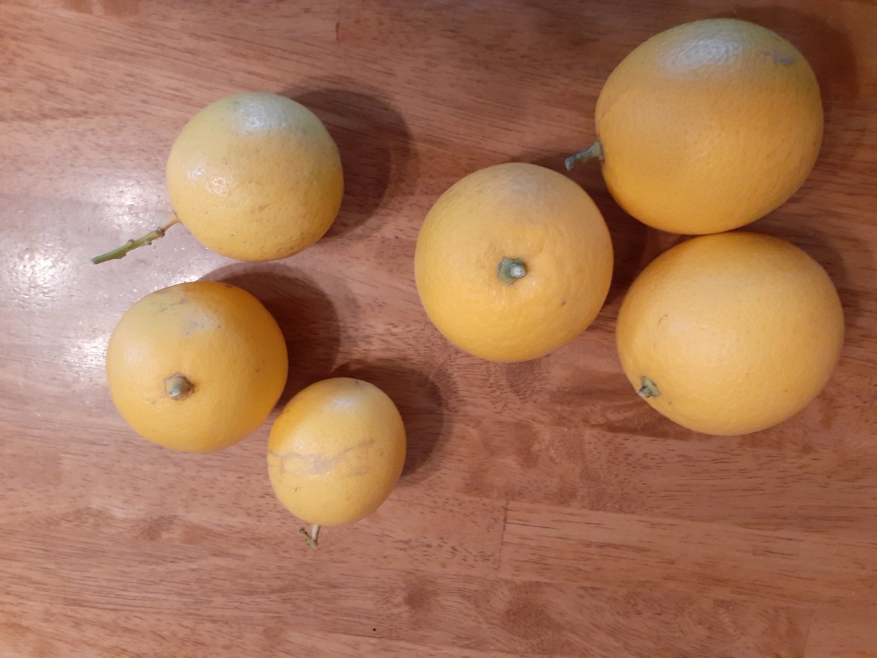 20211211_104400.jpg