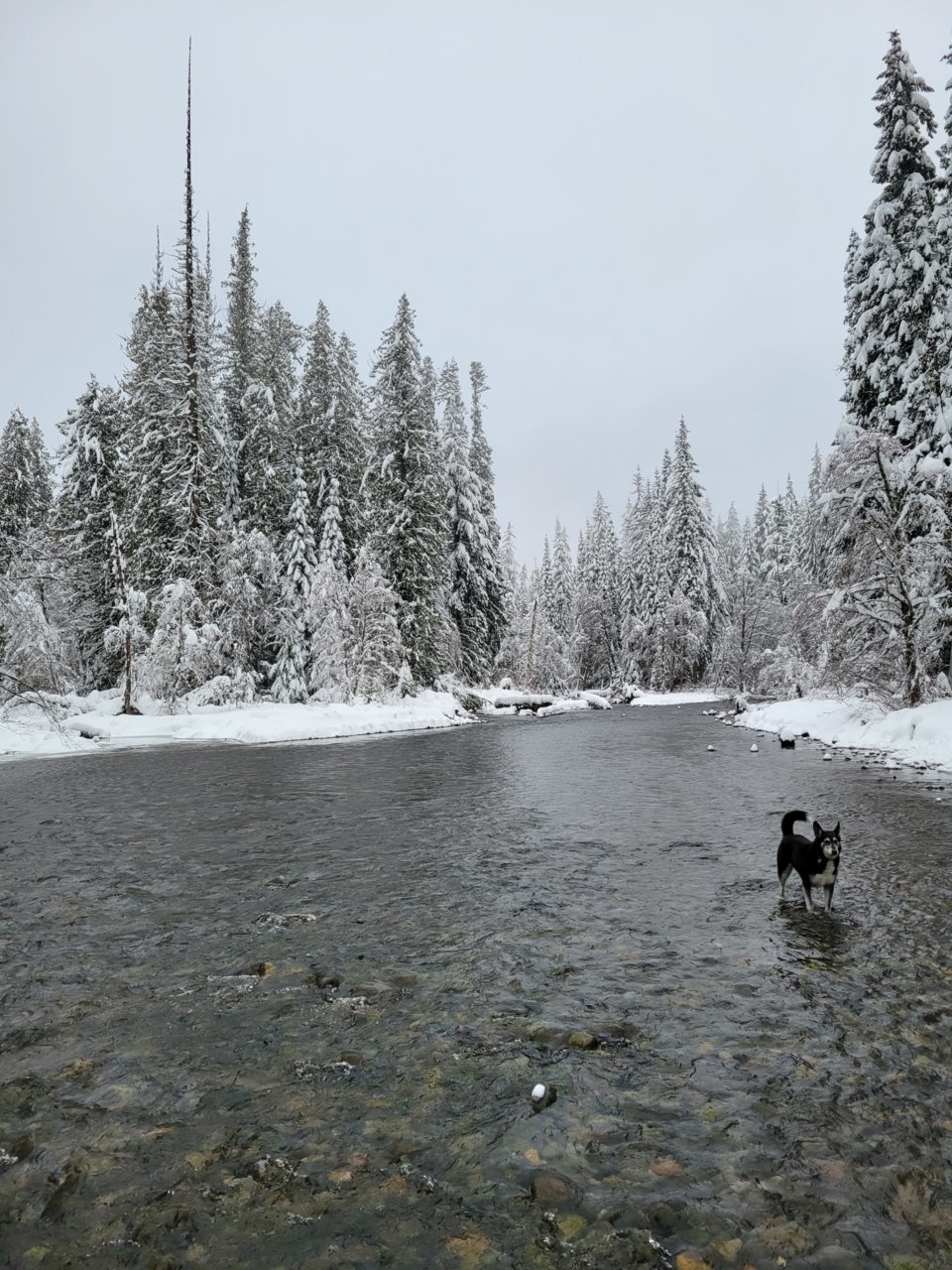 20211211_111442.jpg