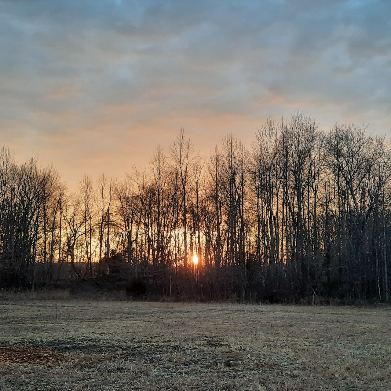 20211214_171003.jpg