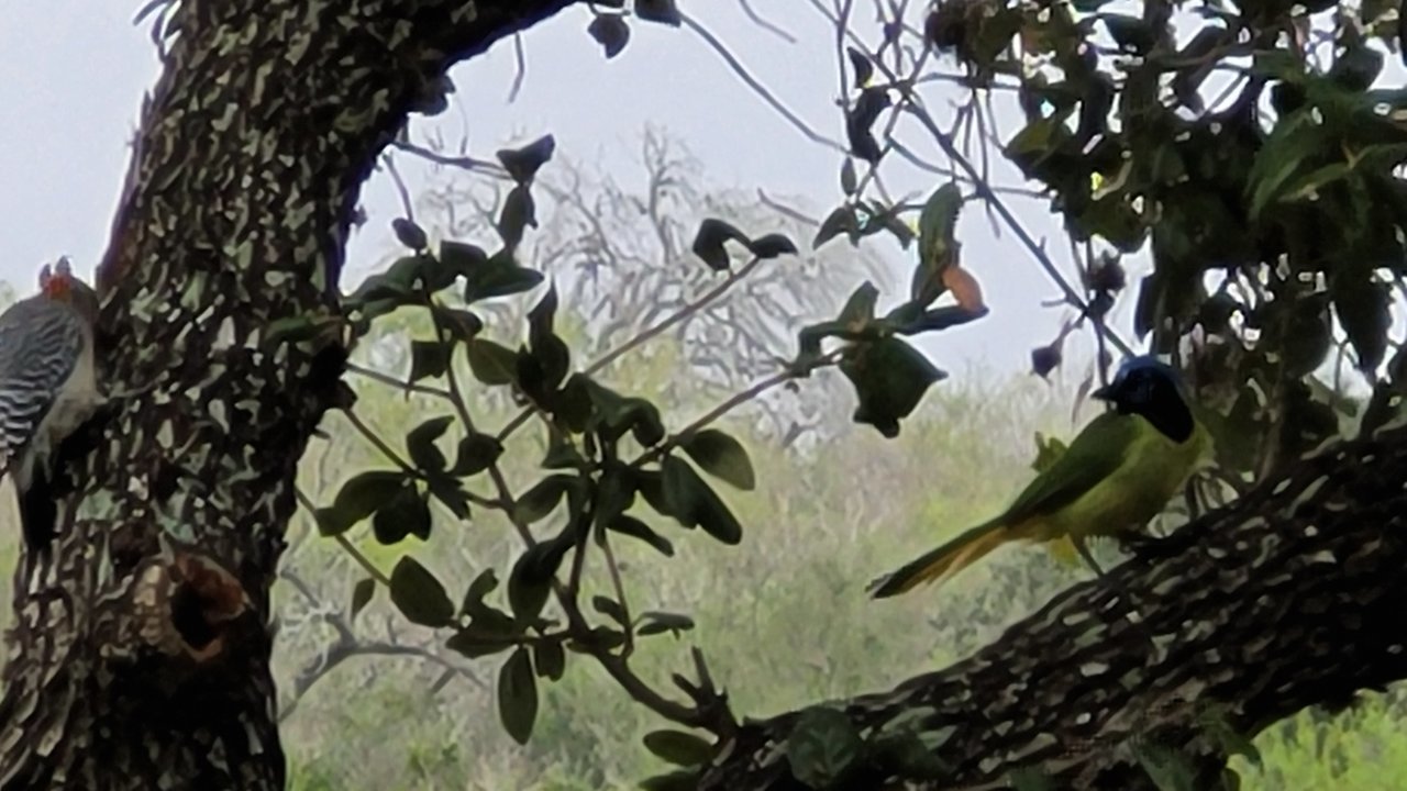 20211217_081308.jpg