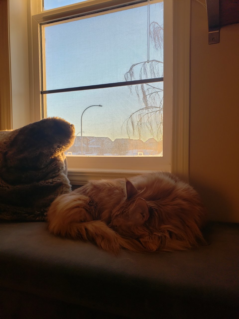 20211217_090738.jpg