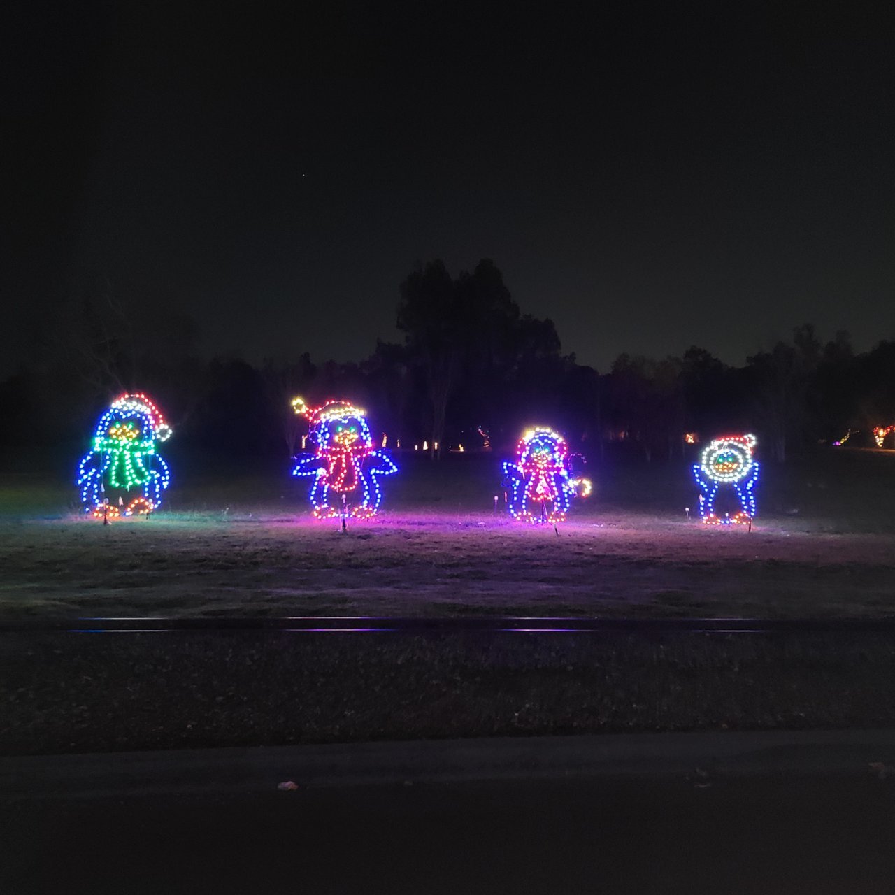 20211217_192830.jpg