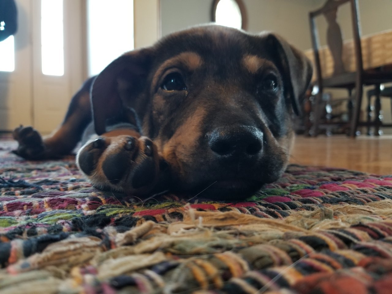 20211218_084857.jpg