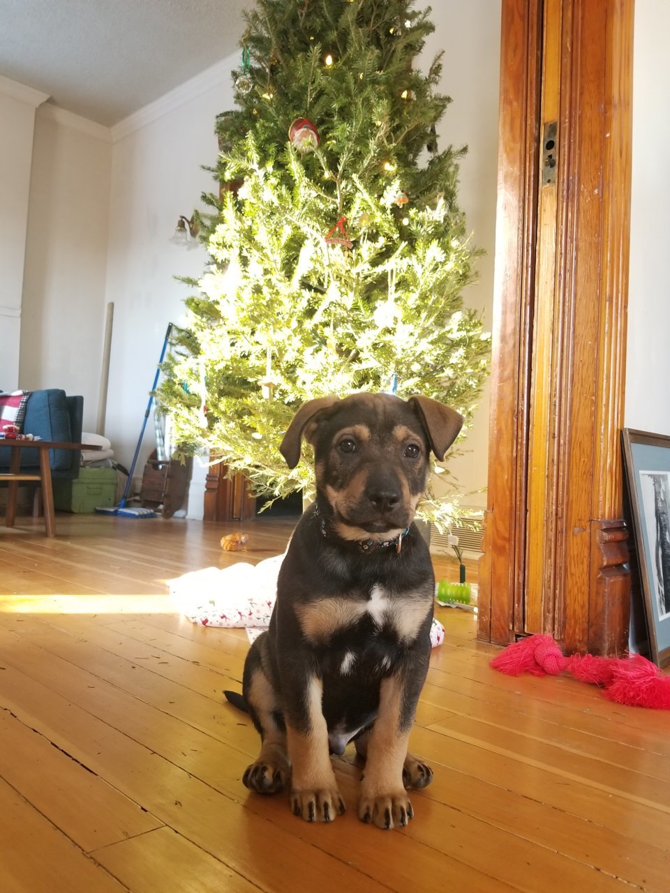 20211218_112827.jpg