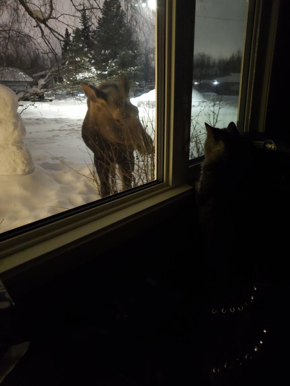 20211219_002735.jpg