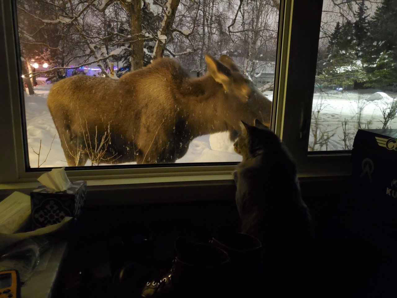 20211219_003347.jpg