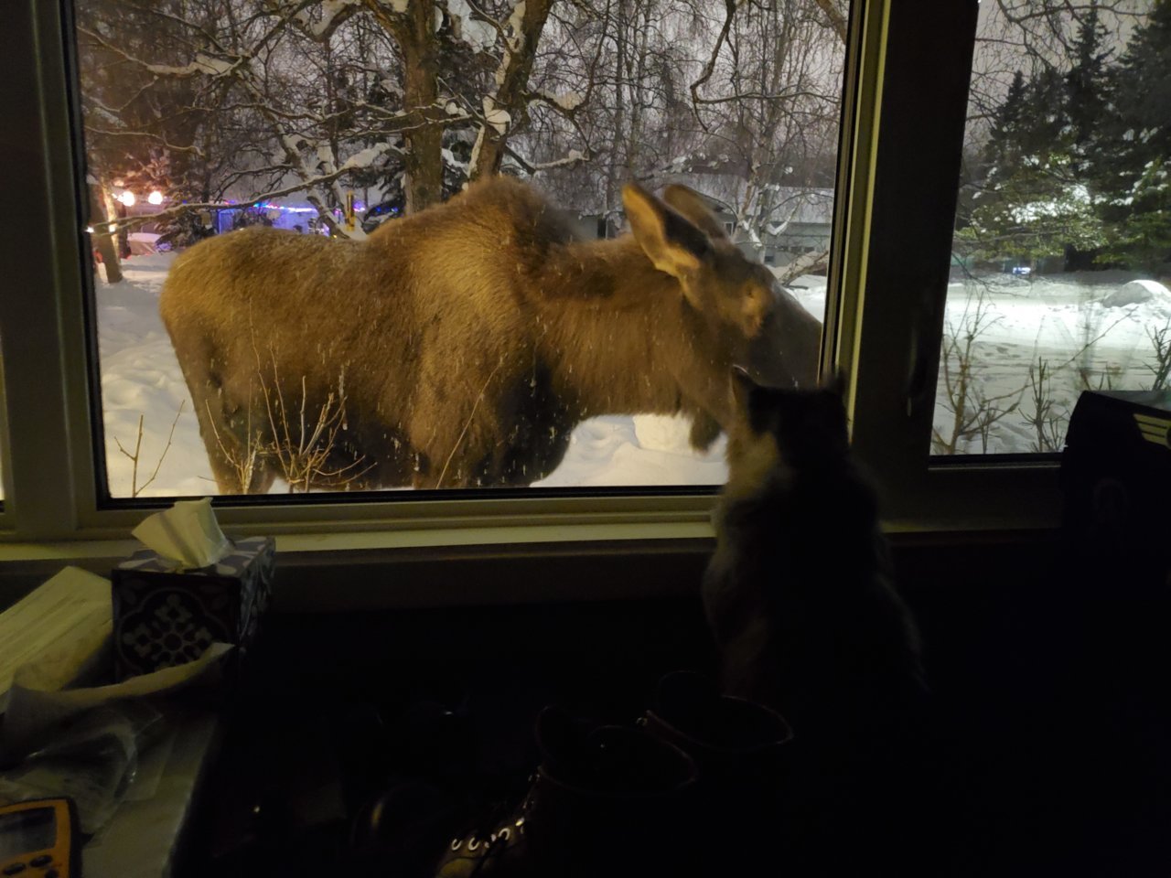20211219_003350.jpg