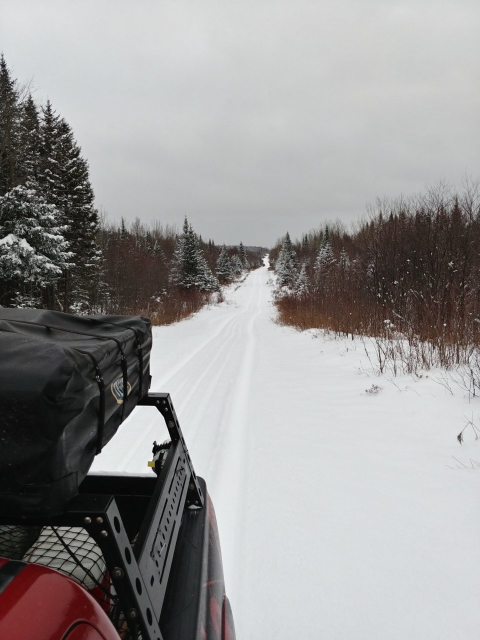 20211219_153205_HDR.jpg