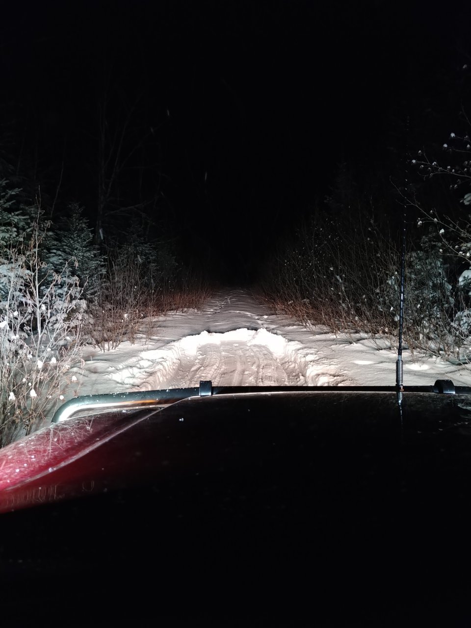 20211219_172627.jpg