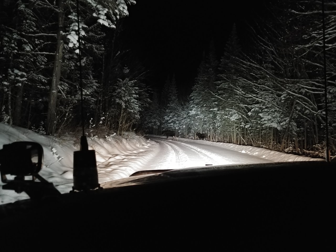 20211219_180831.jpg