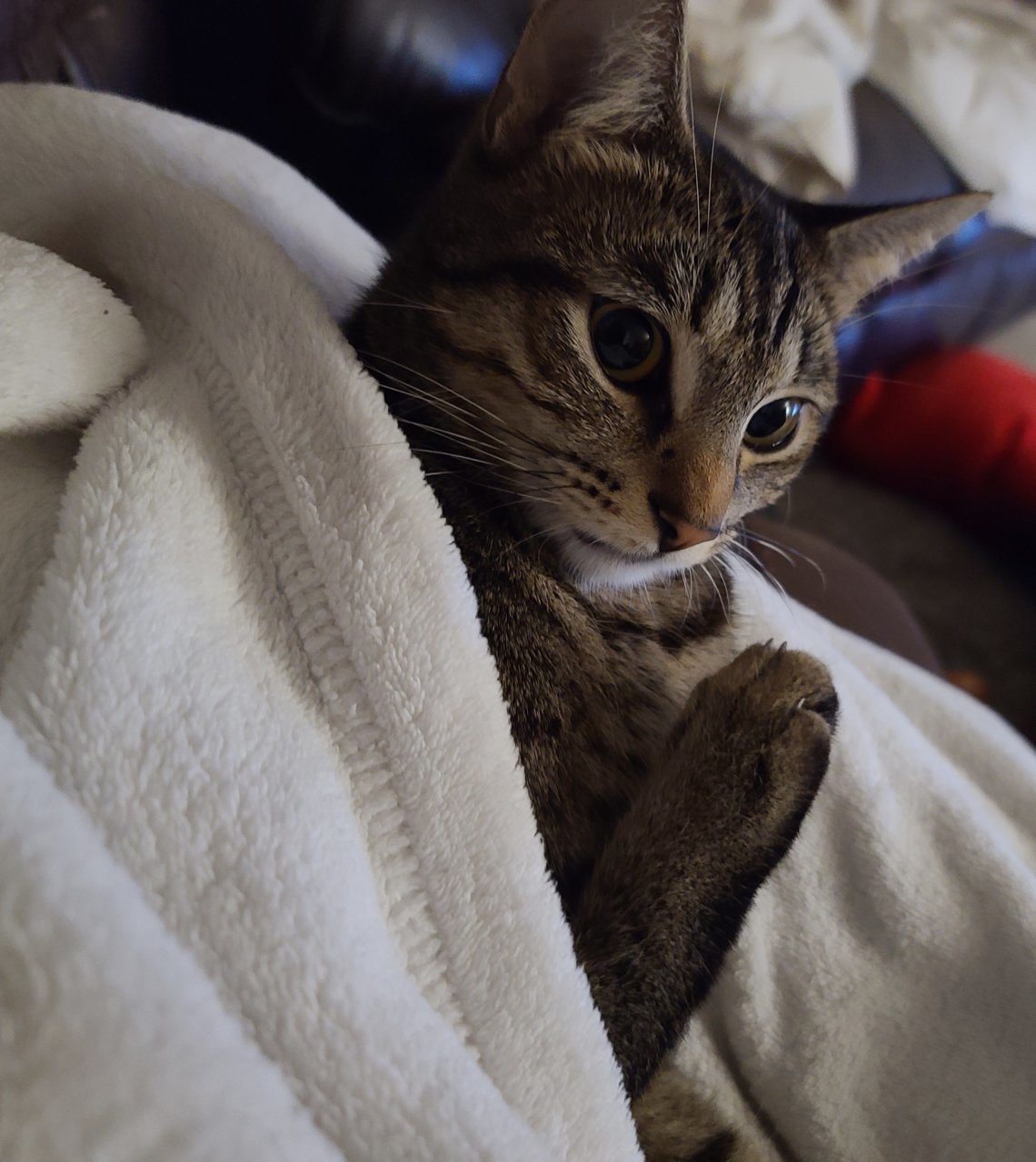 20211219_221526.jpg