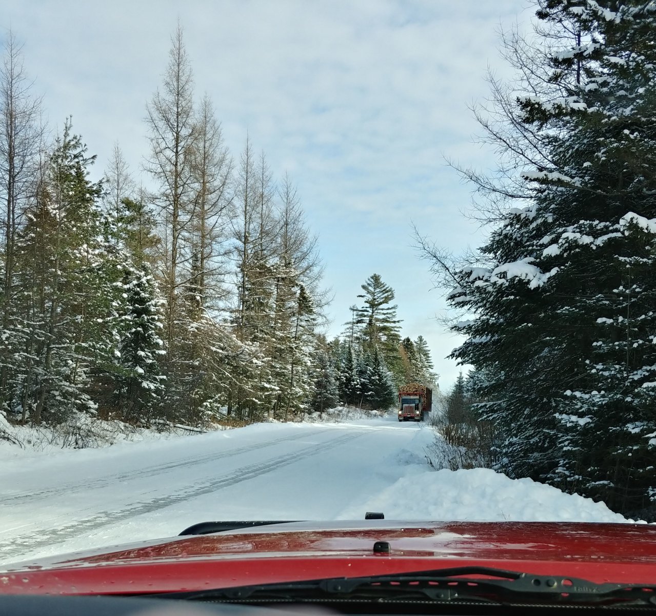 20211220_115326_HDR [1].jpg
