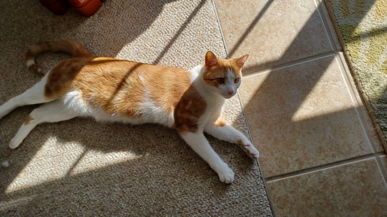 20211220_121251.jpg