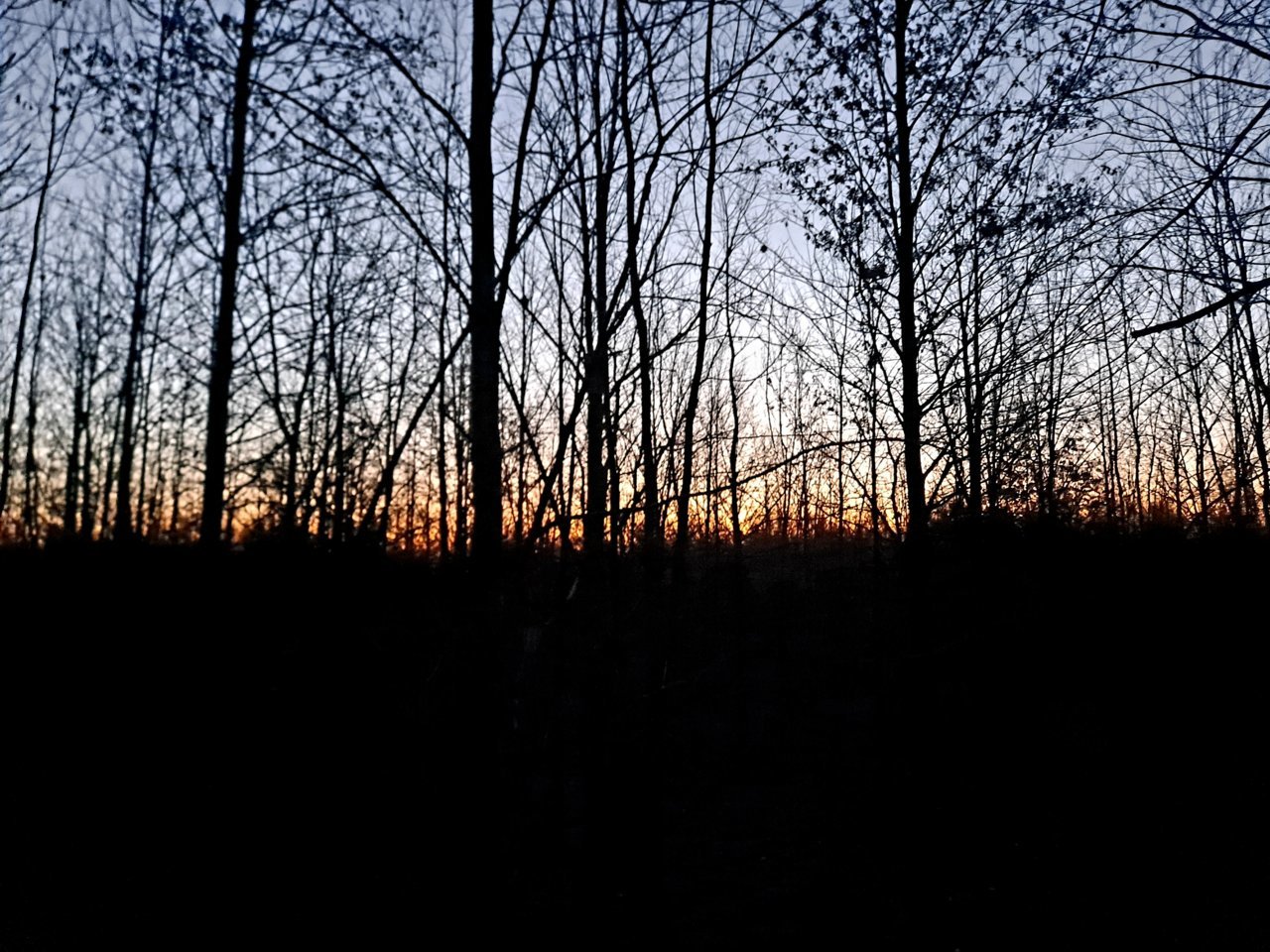 20211222_063512.jpg