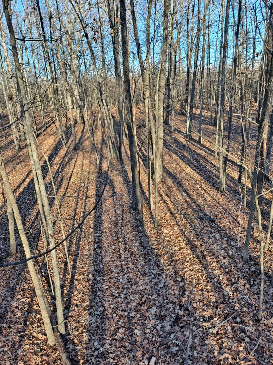 20211222_145511.jpg