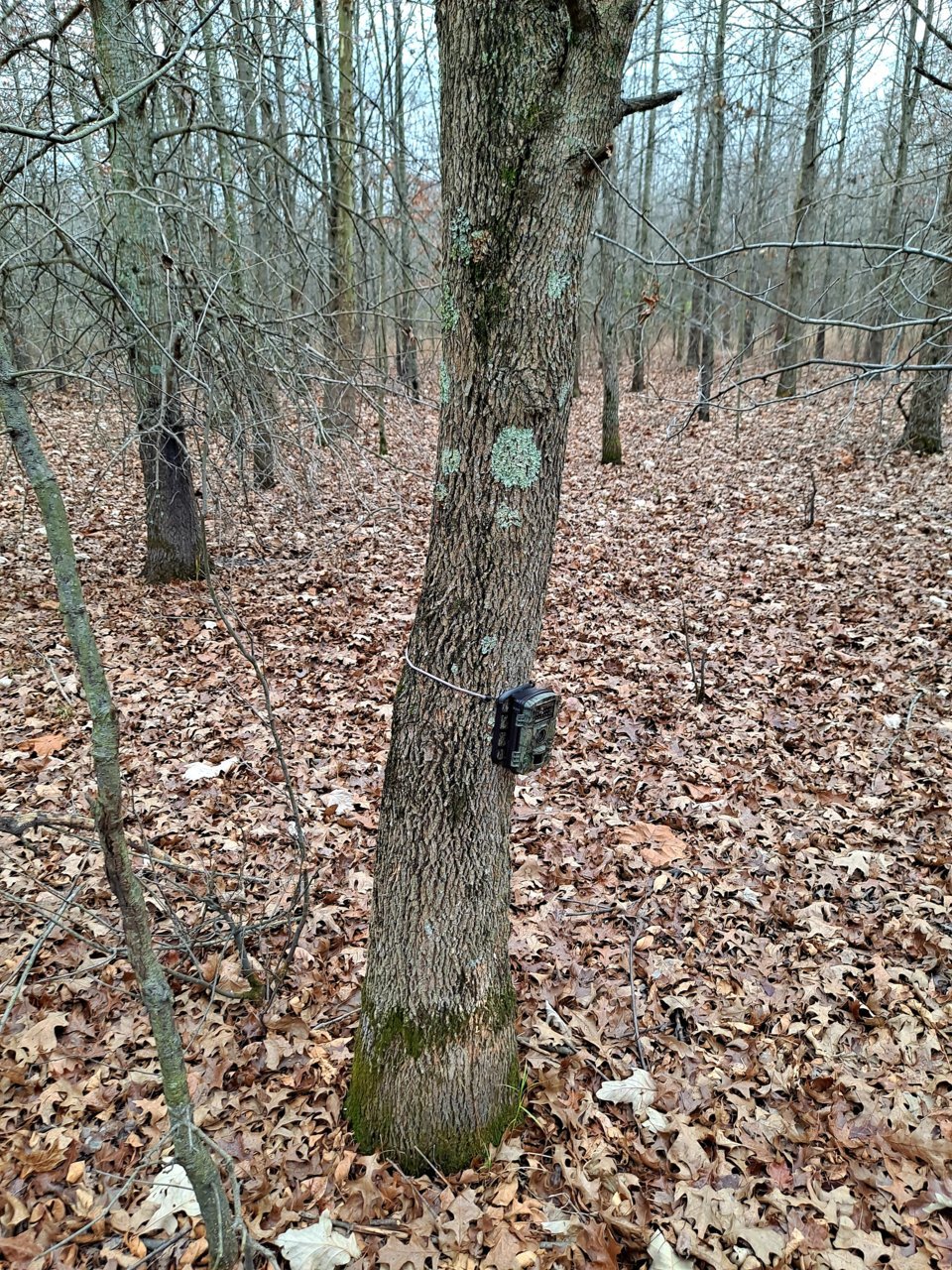 20211223_121416.jpg