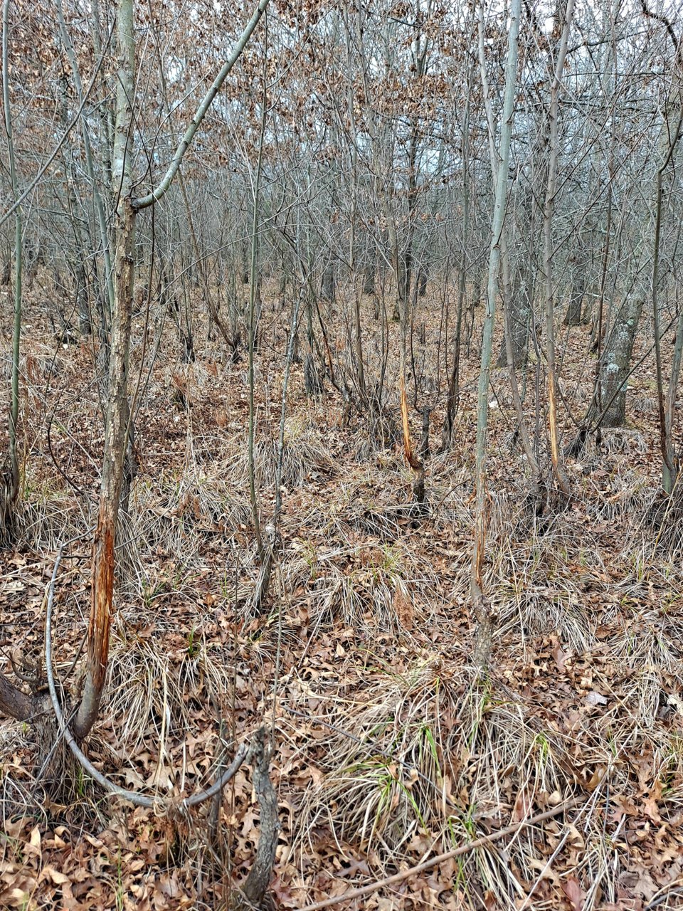 20211223_121526.jpg