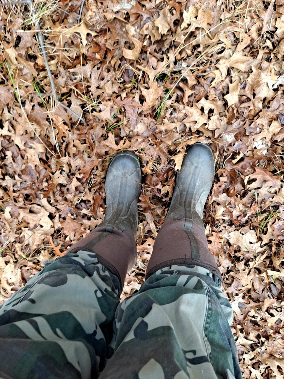 20211223_121611.jpg