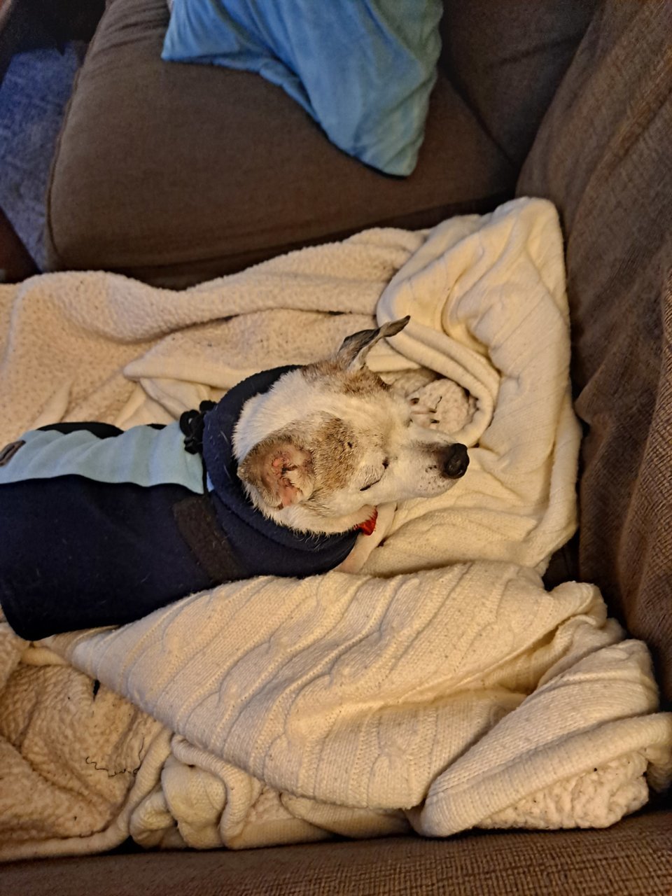 20211224_151142.jpg