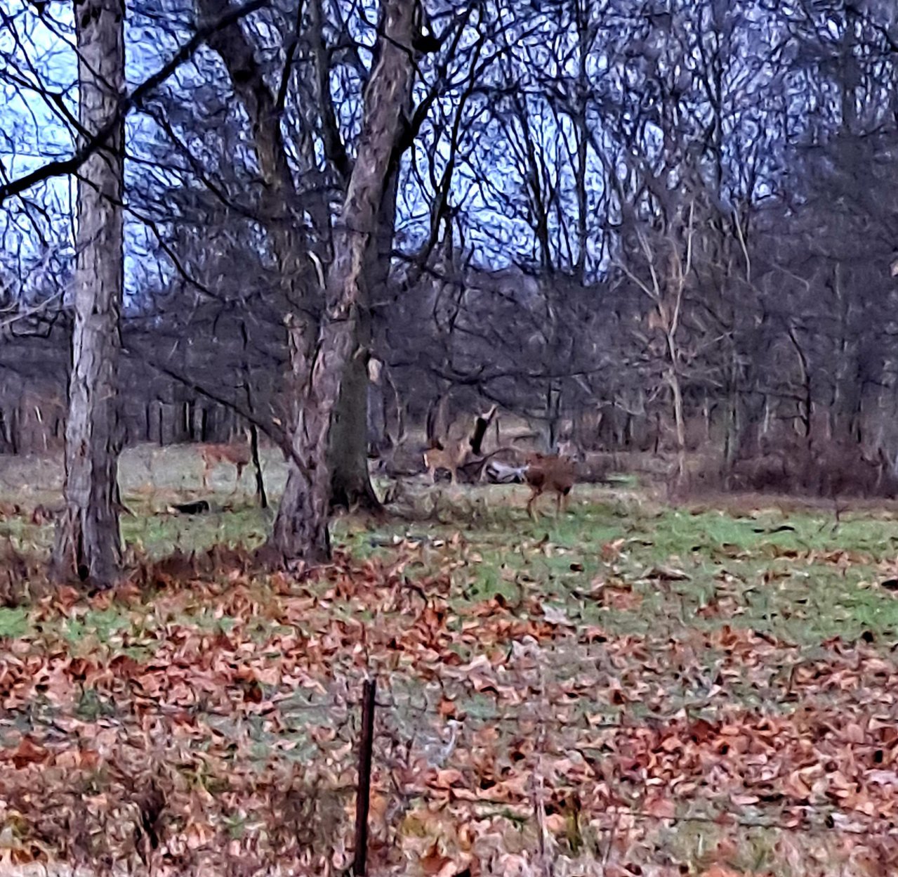 20211224_165243.jpg