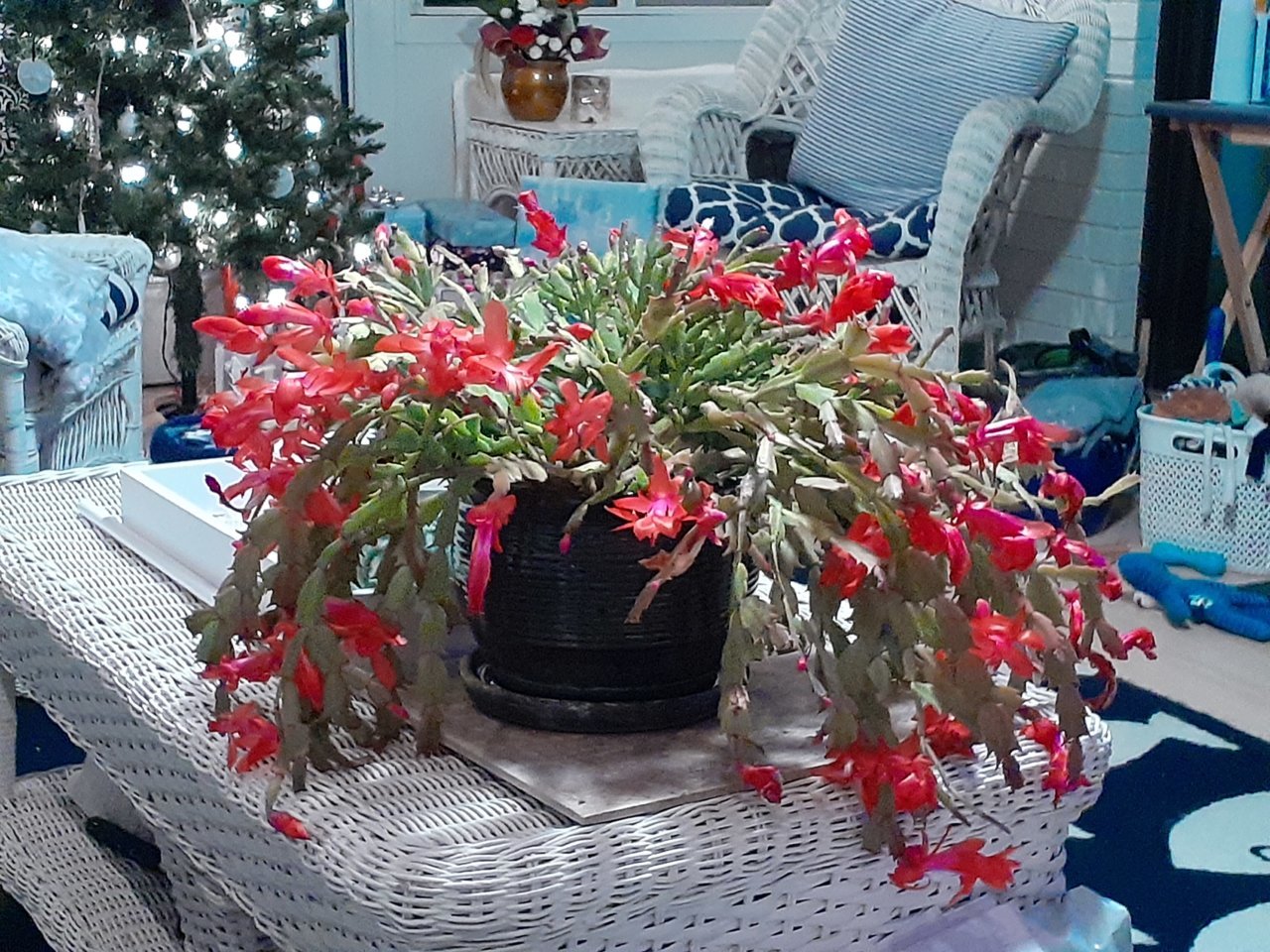 20211224_182104.jpg