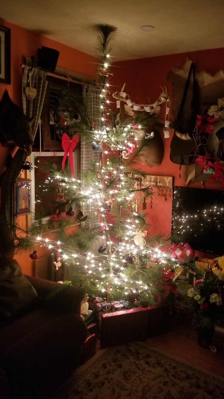 20211224_215800.jpg