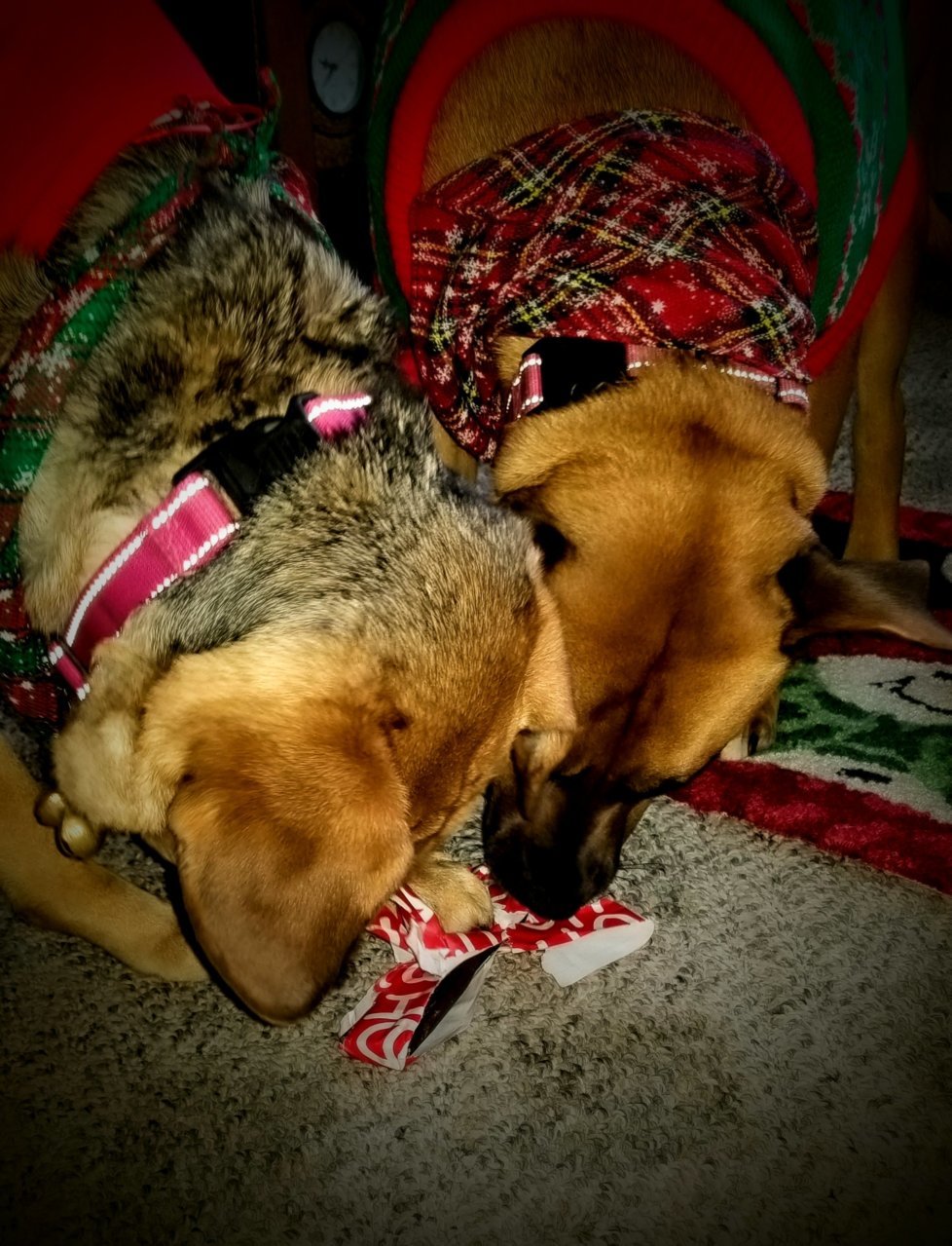 20211225_093644~2.jpg