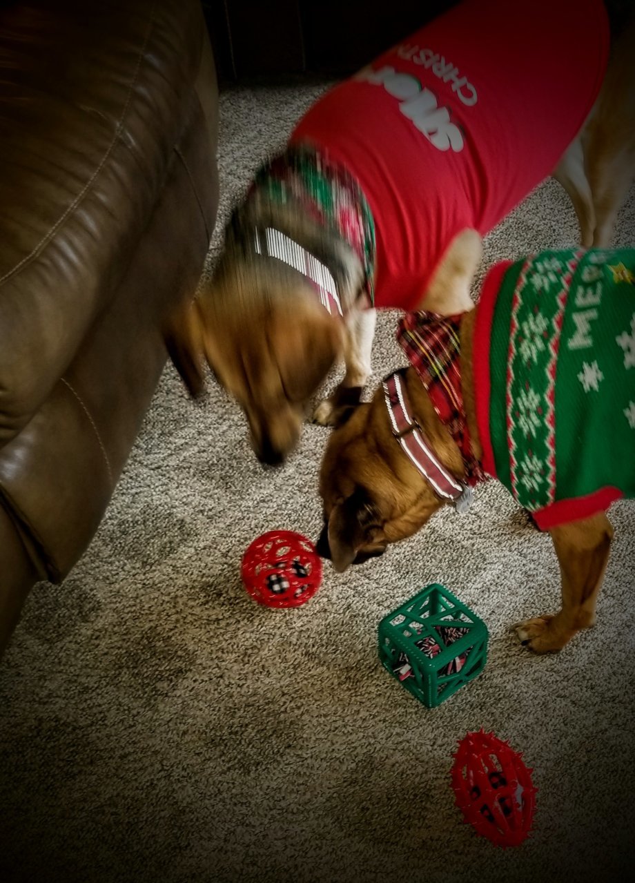 20211225_095241~2.jpg