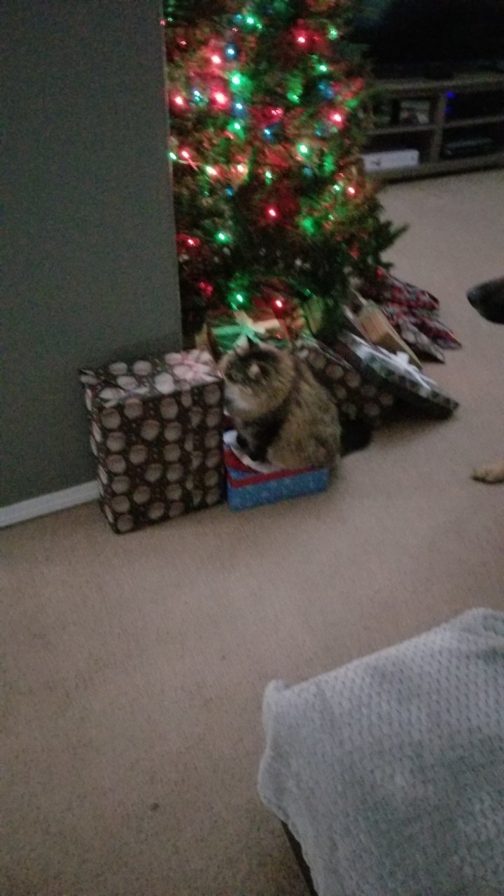 20211225_114210.jpg