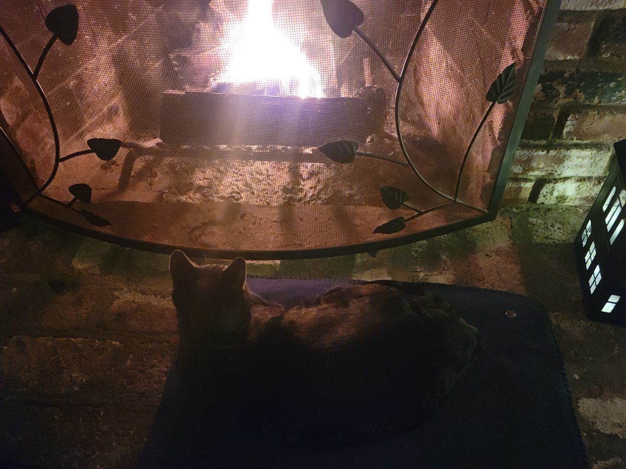 20211225_181706.jpg