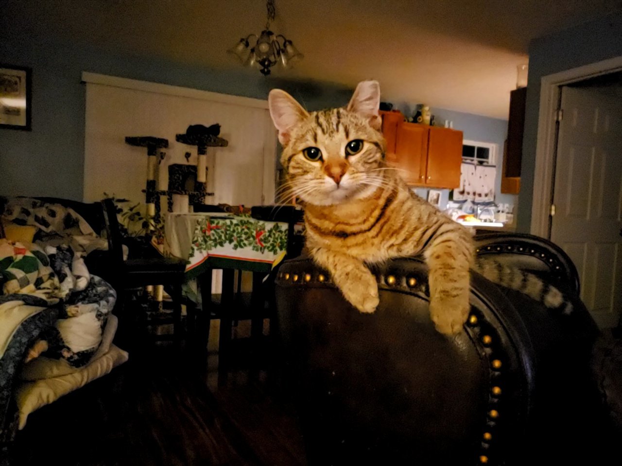 20211225_201326_capture(1).jpg