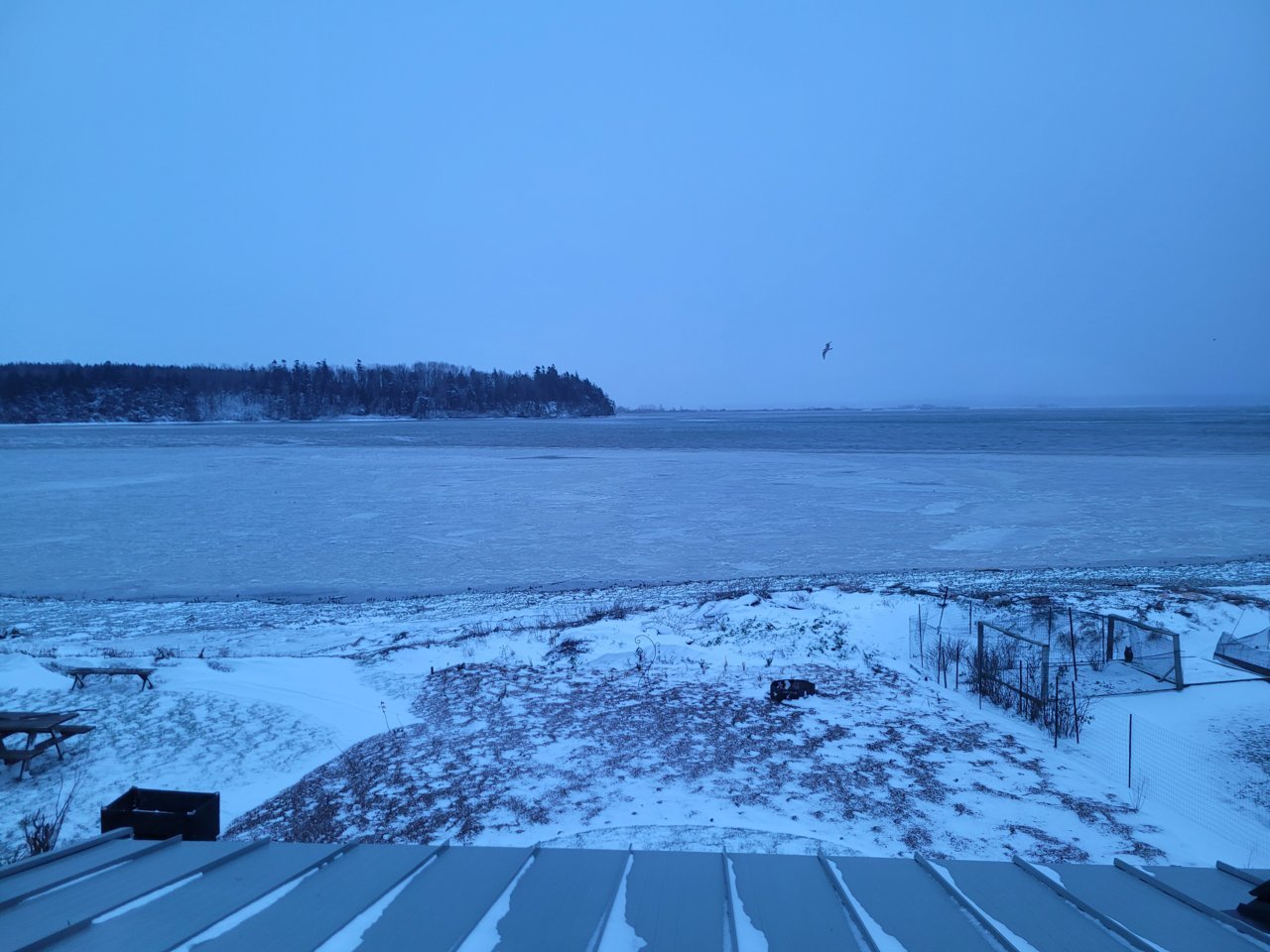 20211226_081421.jpg