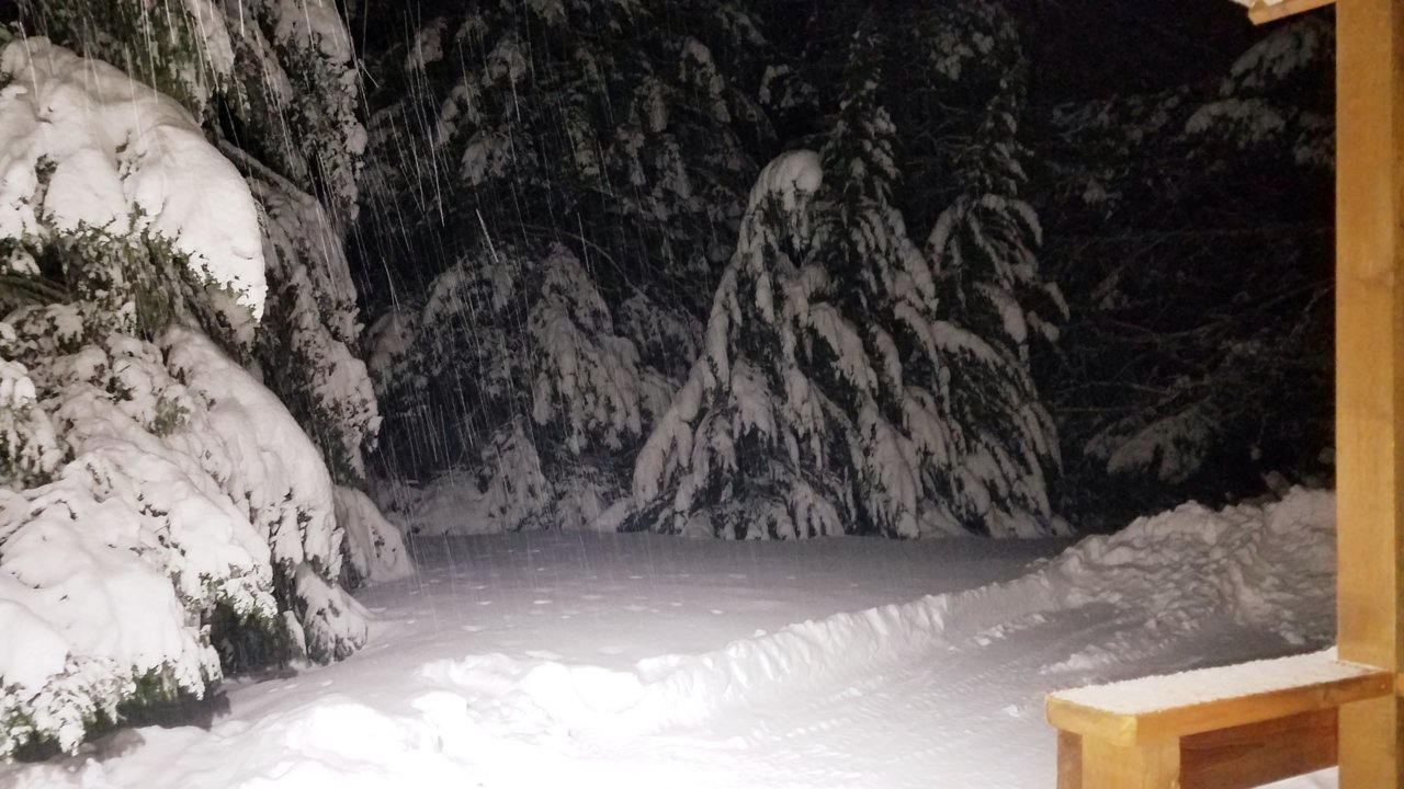 20211226_174952.jpg