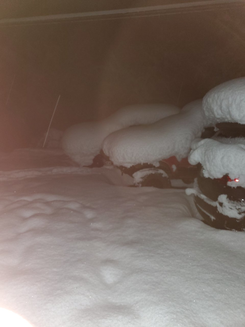 20211227_060513.jpg