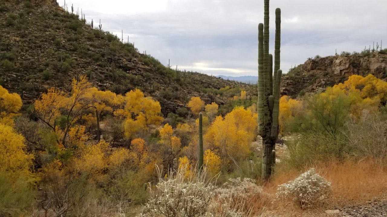 20211227_084710.jpg