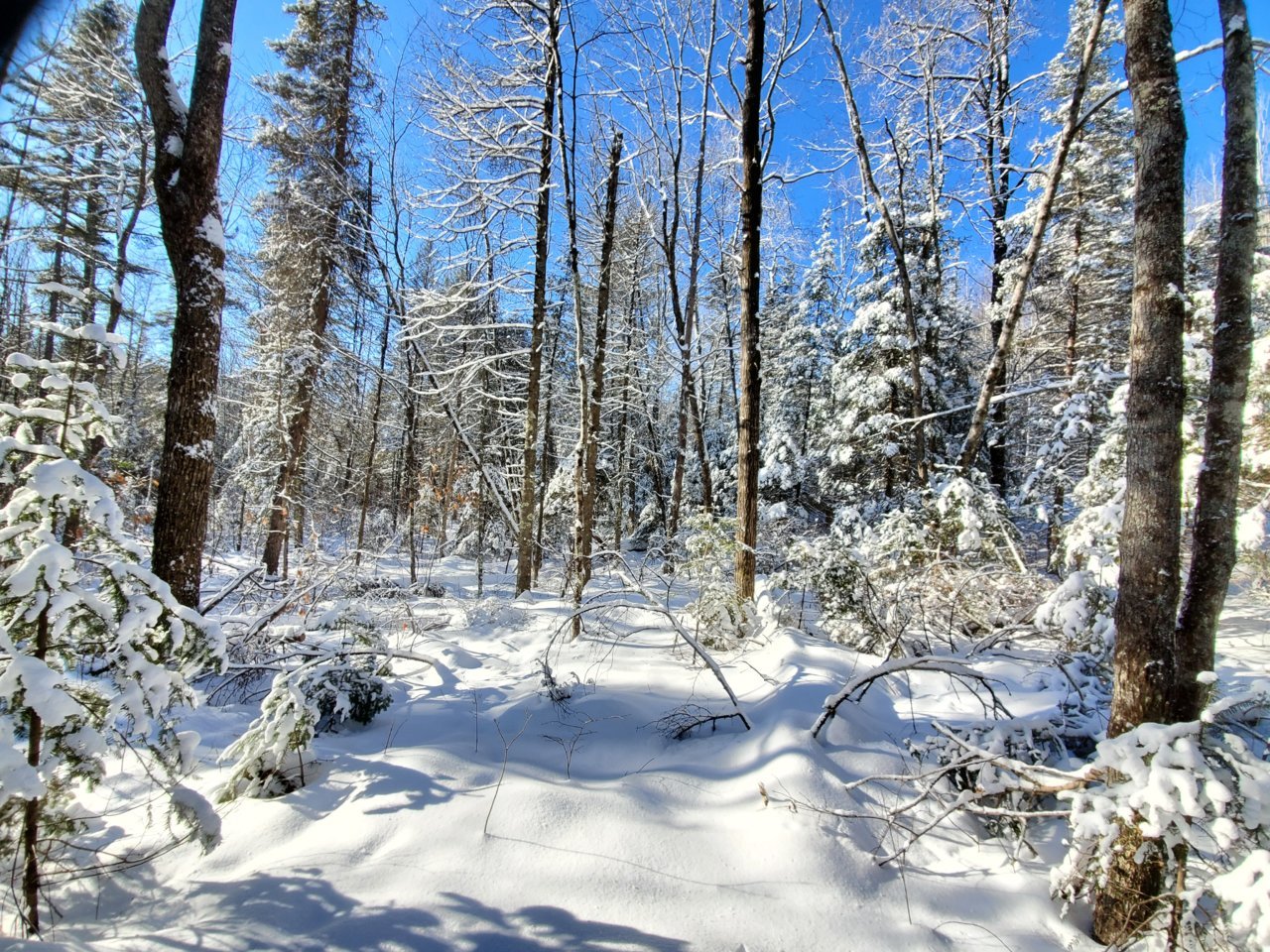 20211229_125315.jpg