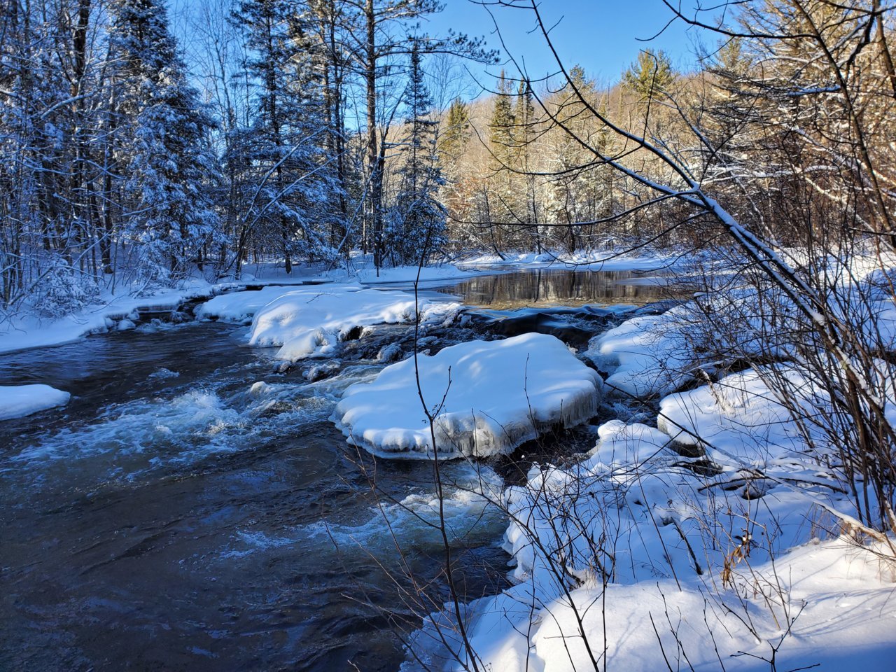 20211229_130135.jpg