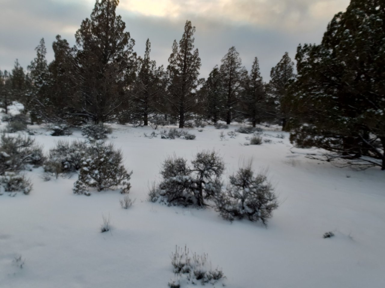 20211229_160600.jpg
