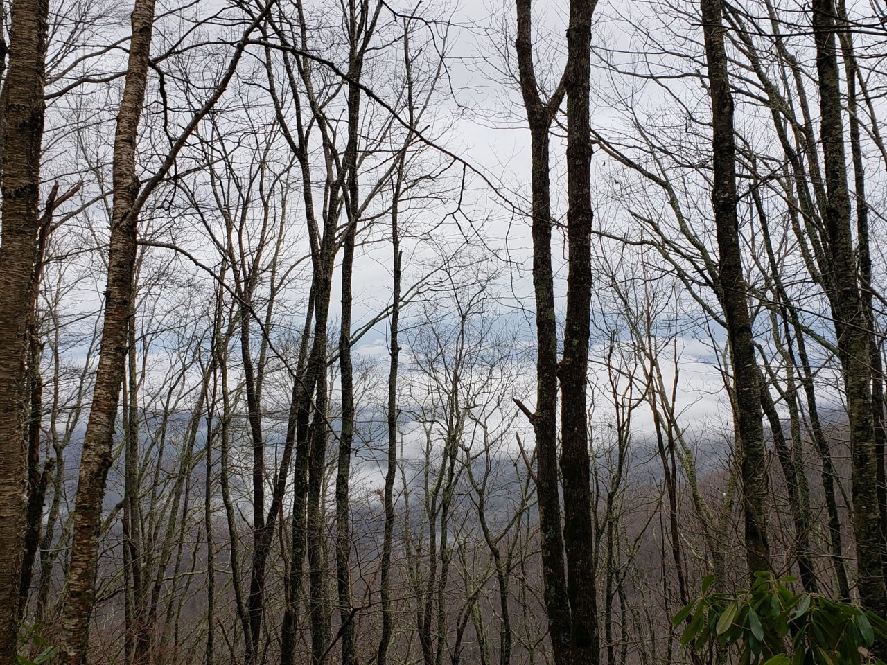20211230_111240.jpg